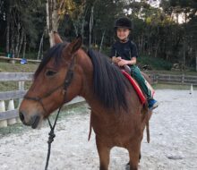 Passeios dirigidos para aplicar na prática conceitos de sala de aula (Ed. Física - hipismo). Parceria com o Rancho Boscardin (CGS).